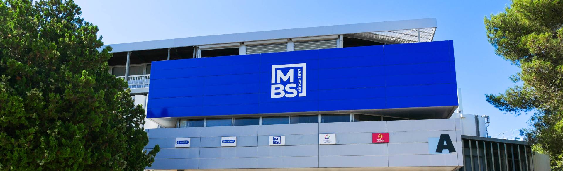 MBS School of Business Licenciatura en Administración de Empresas Internacionales