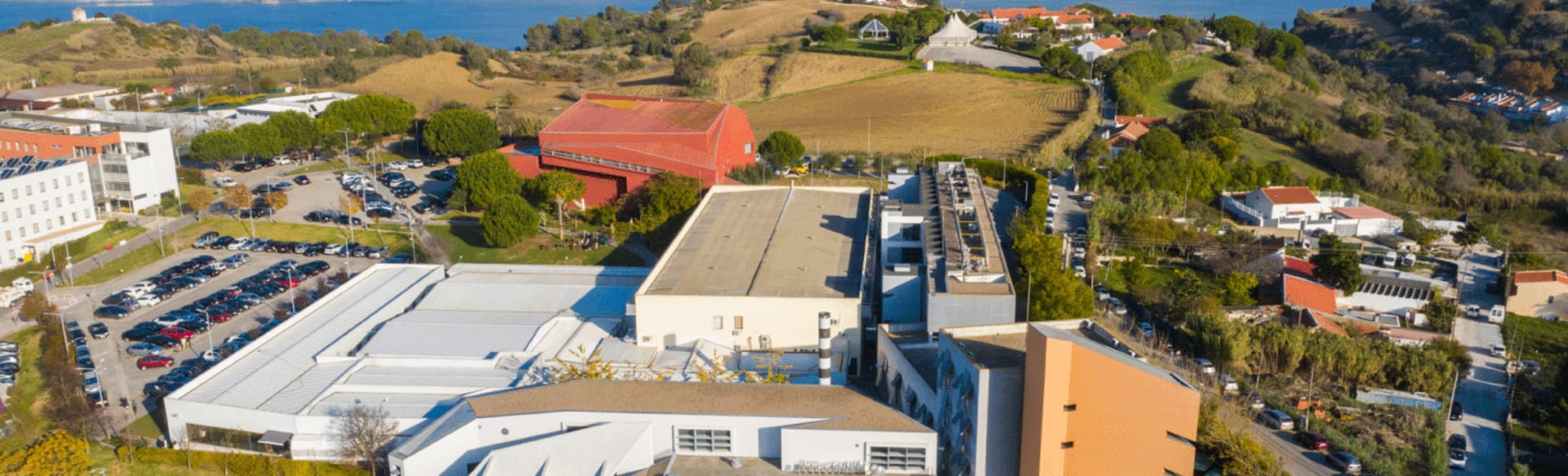 Egas Moniz School of Health & Science Licenciatura en Ciencias de la Nutrición