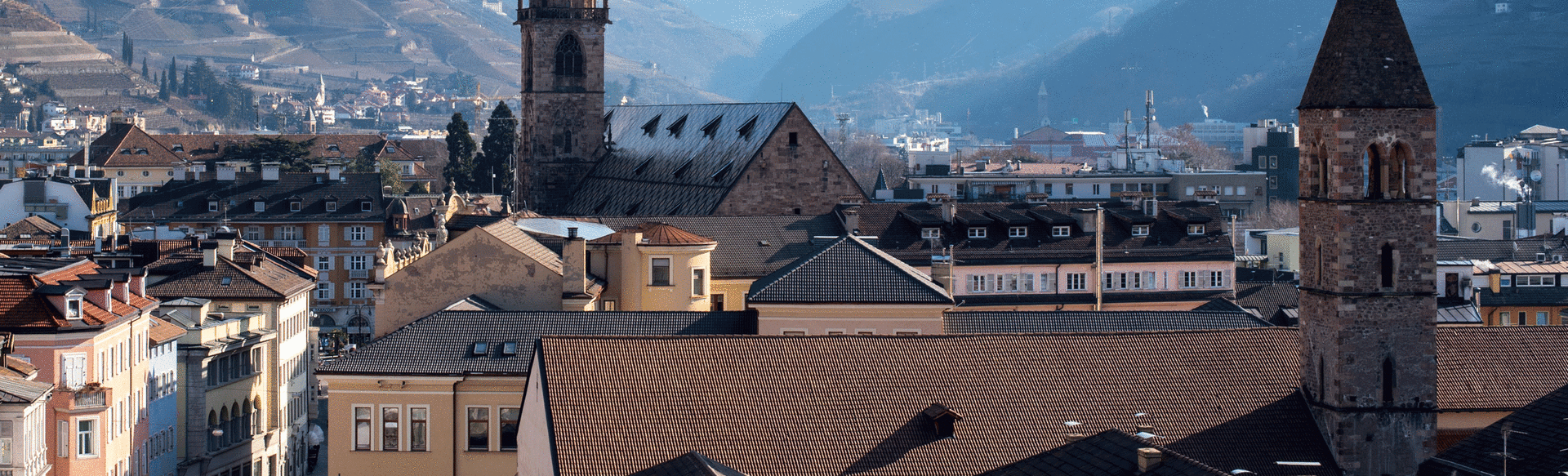 Free University of Bozen-Bolzano Dottorato in Management