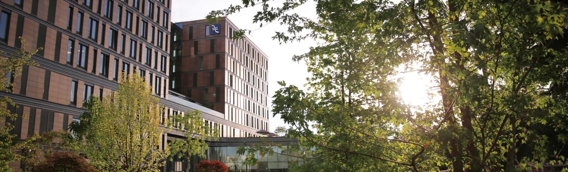 Frankfurt School of Finance & Management - Sustainable World Academy Diplomado en Inclusión Financiera
