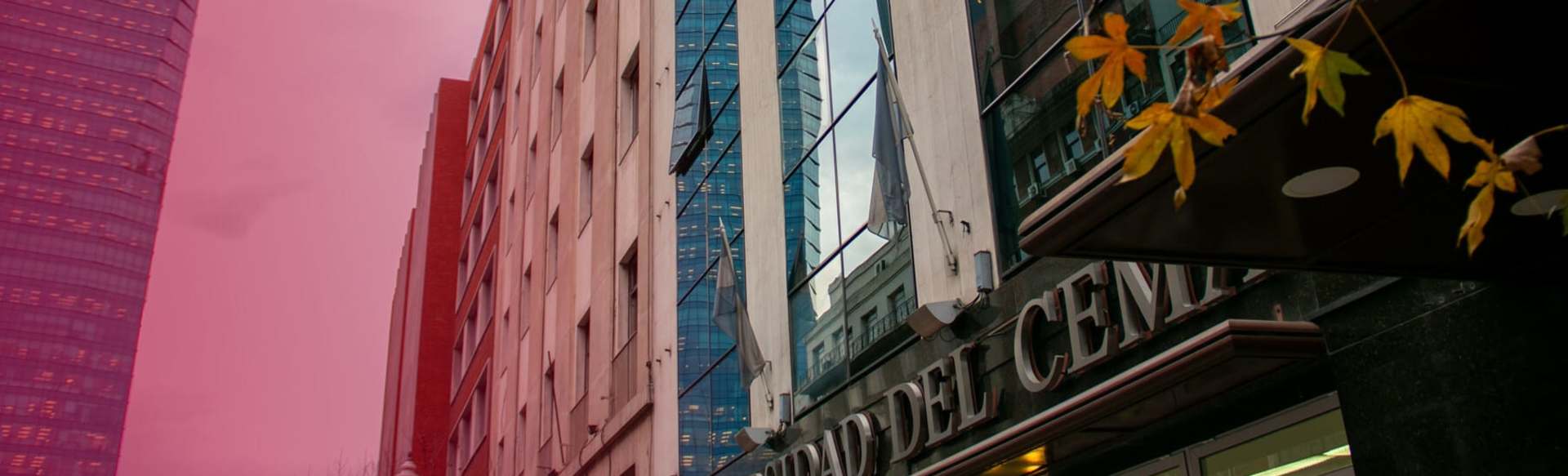 Universidad del CEMA Degree in finance