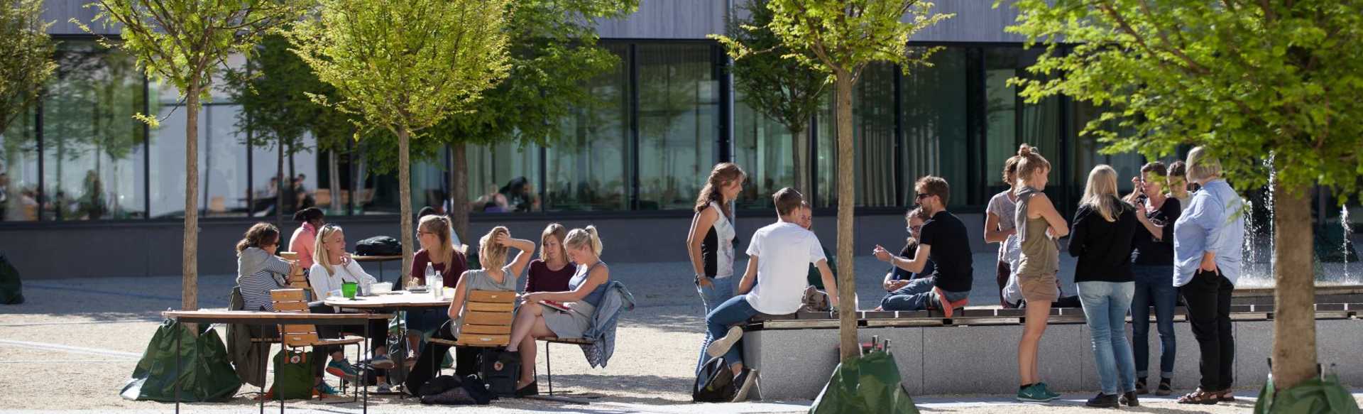 Swedish University of Agricultural Sciences Maestría en Gestión Forestal y Empresarial