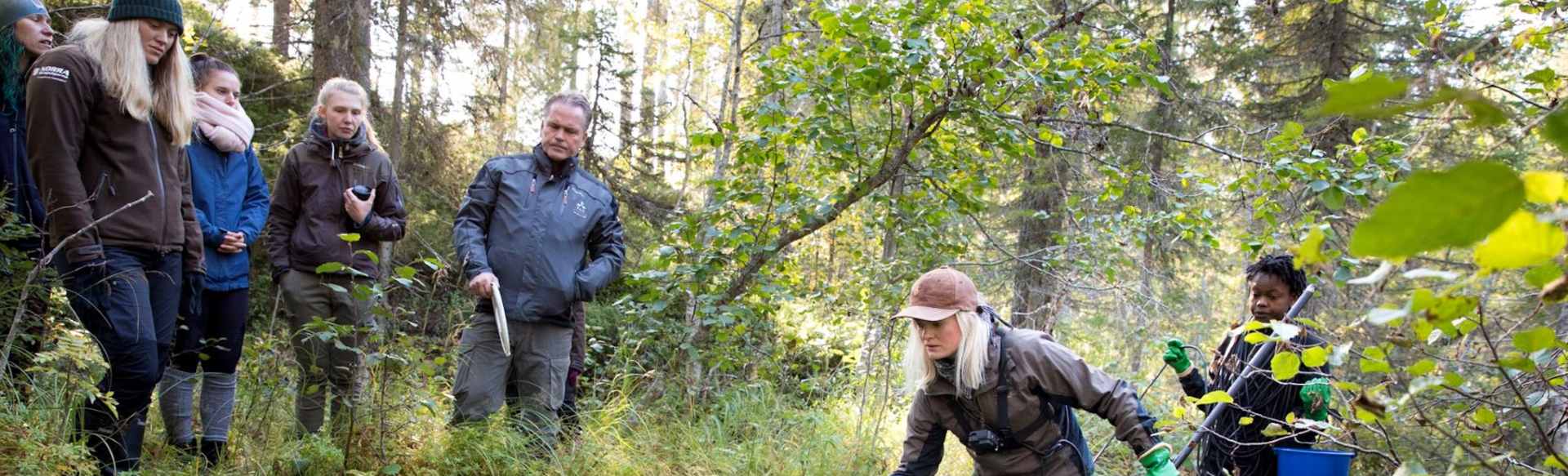 Swedish University of Agricultural Sciences Master en conservation et gestion des poissons et de la faune