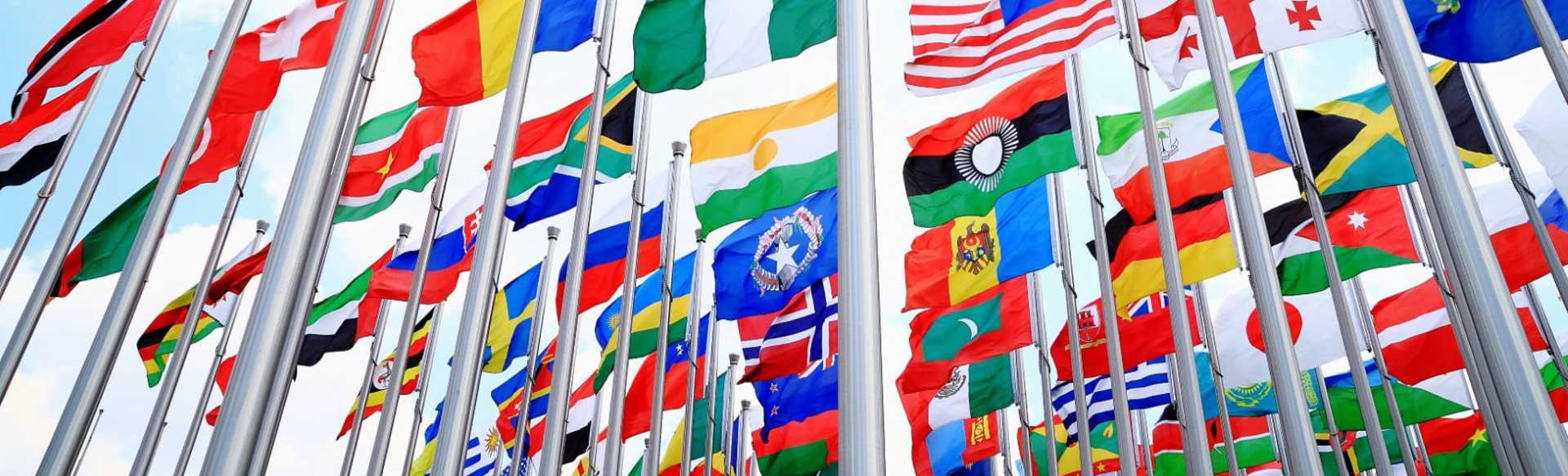 Swedish University of Agricultural Sciences Mestrado em Alimentos Agrícolas e Análise Política Ambiental