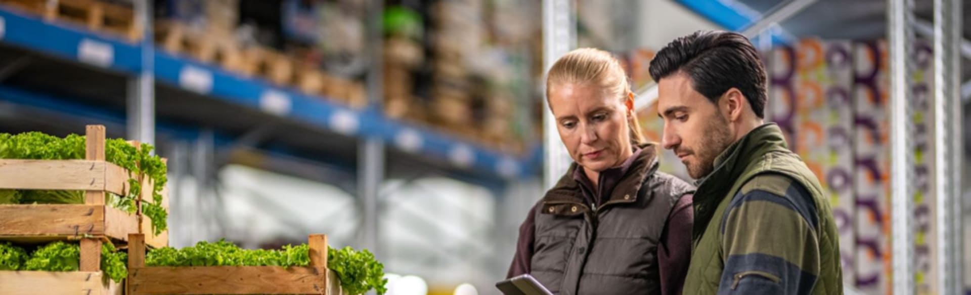 Swedish University of Agricultural Sciences Mestrado em Economia e Gestão Agrícola