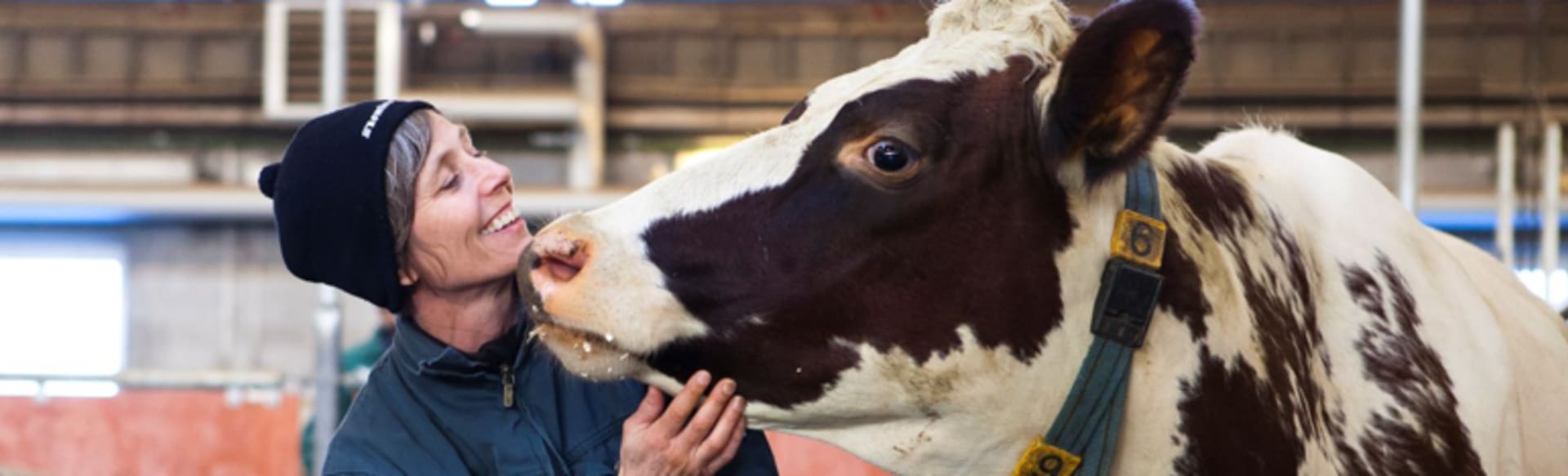 Swedish University of Agricultural Sciences Master in Tierwissenschaften
