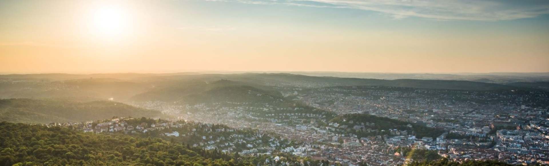 Swedish University of Agricultural Sciences Licenciatura en Ciencias Forestales y Paisajísticas