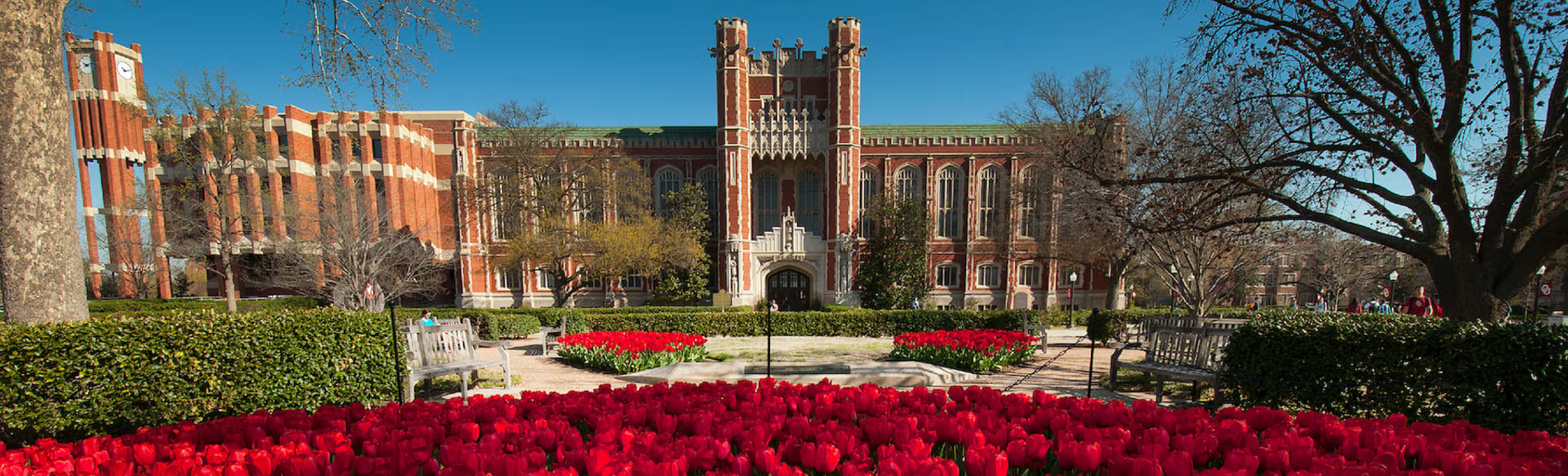 University of Oklahoma Online Online LLM w międzynarodowym prawie gospodarczym