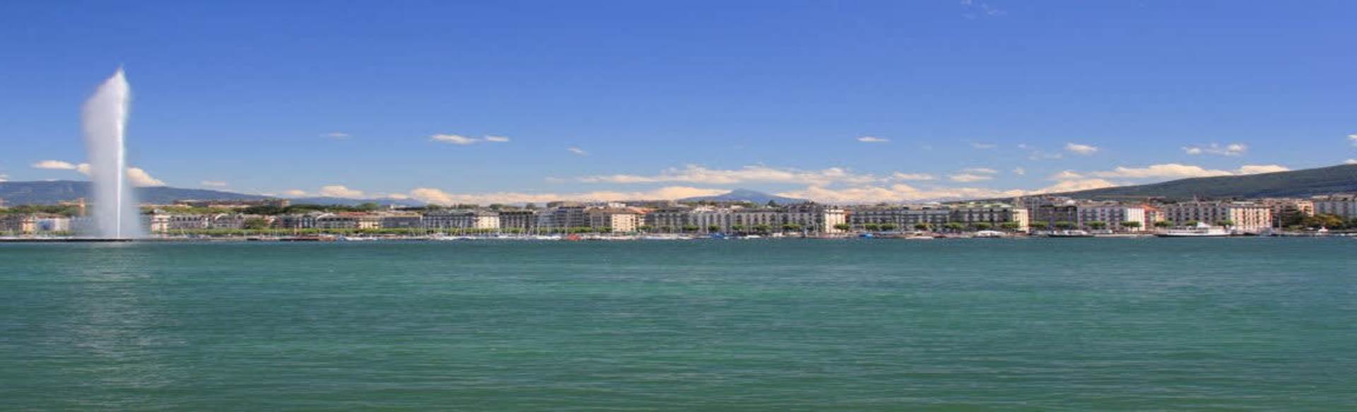 International Institute in Geneva Master in International Management (MIM) (European & US accreditations)