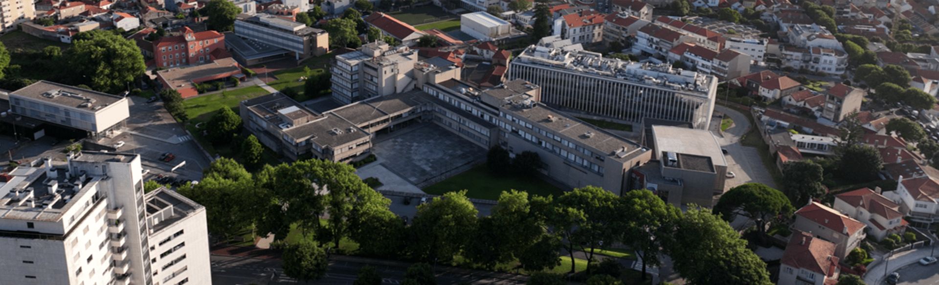 Universidade Católica Portuguesa – Porto Máster en Biotecnología para la Bioeconomía