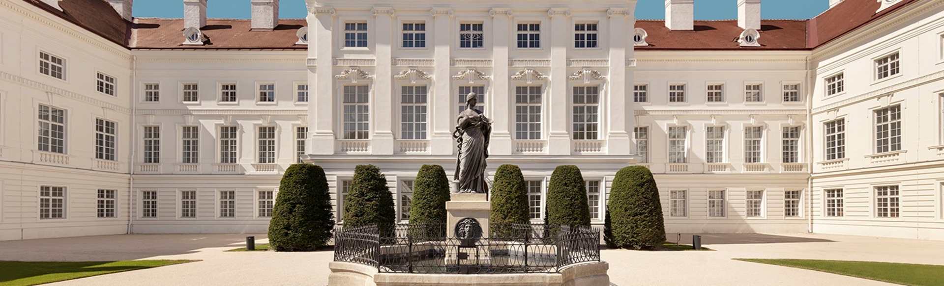 Medical University Vienna Entzündung und Immunität (PhD-Programm)
