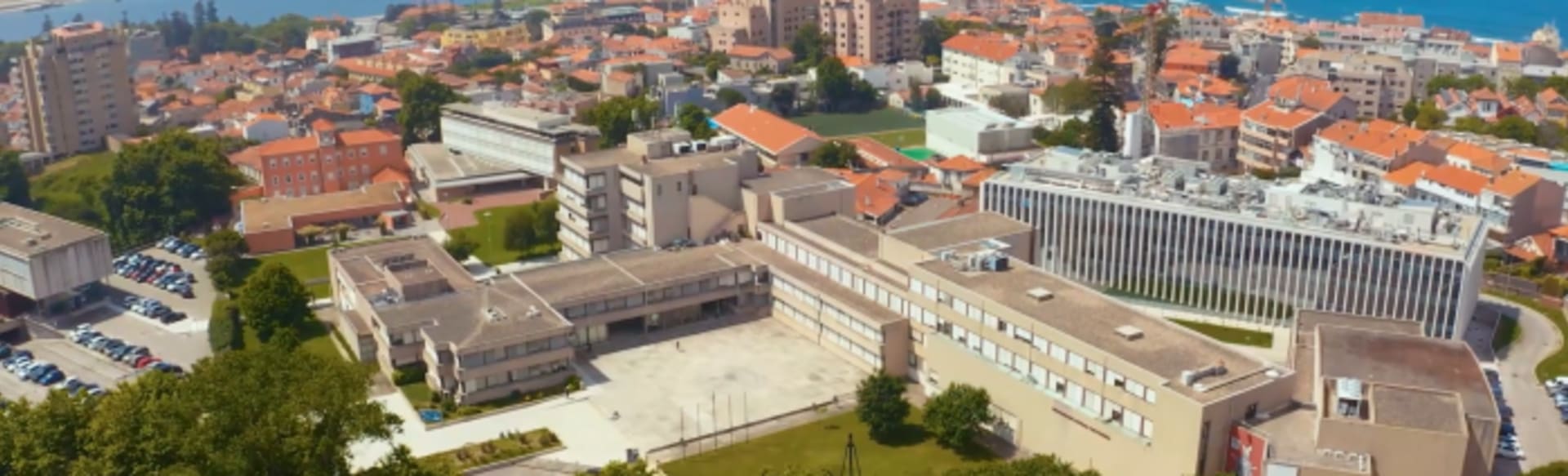 Universidade Católica Portuguesa - Porto Law School Магістр права та управління