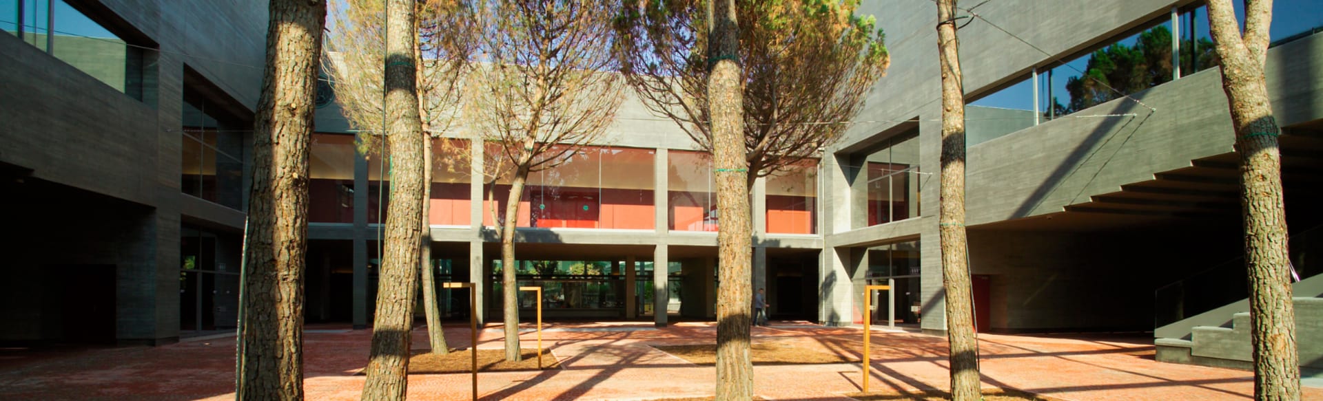 University of Torino Mestrado em Ciências Biotecnológicas e Químicas no domínio do diagnóstico