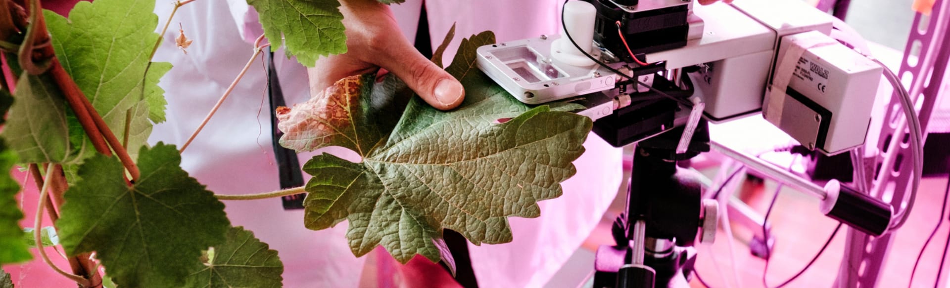 University of Torino Master en agriculture intelligente