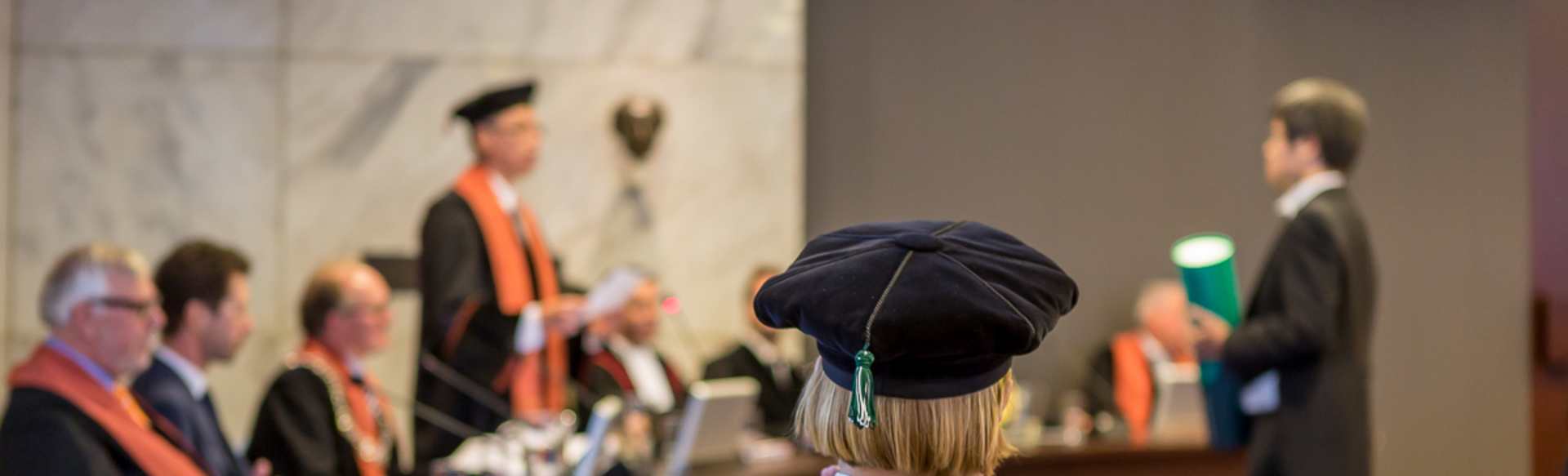 IHS, Institute For Housing and Urban Development Studies of Erasmus University Rotterdam Doutor em Desenvolvimento Urbano e Governança