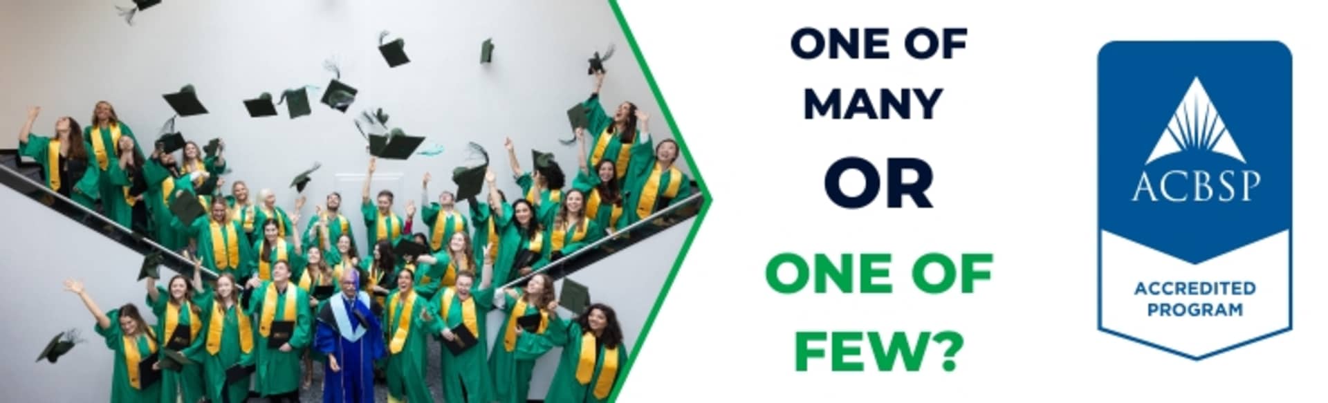 Sustainability Management School Master in Sustainable Fashion Management