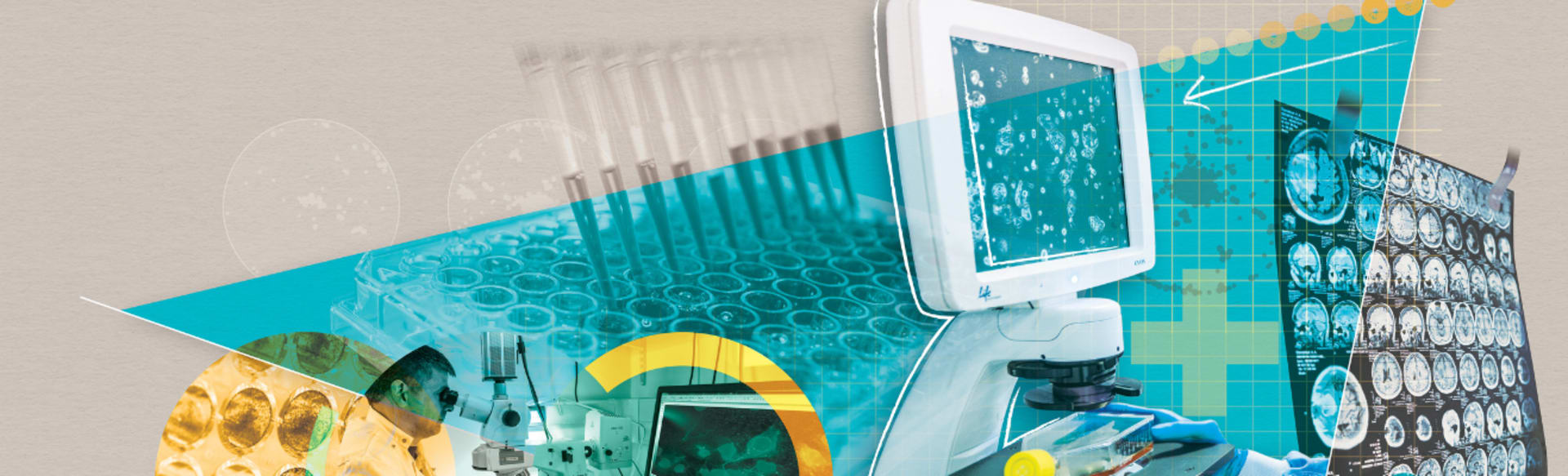 University of Manchester - Online and Blended Learning 转化肿瘤学课程