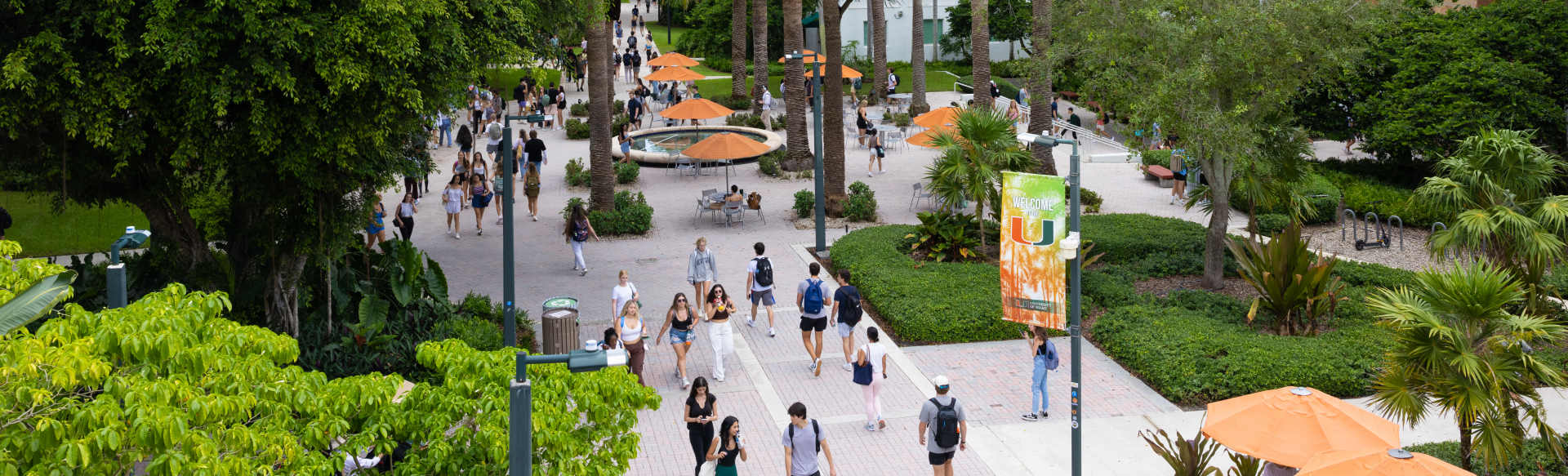 University of Miami  迈阿密之旅