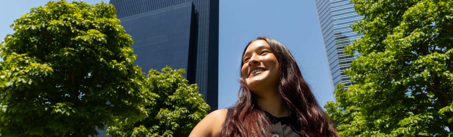 IE Summer School IE Pre-Tracks