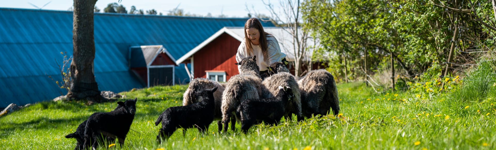 Grass Ceiling Gender Equality in Rural and Agricultural Innovation Systems MOOC (online course)
