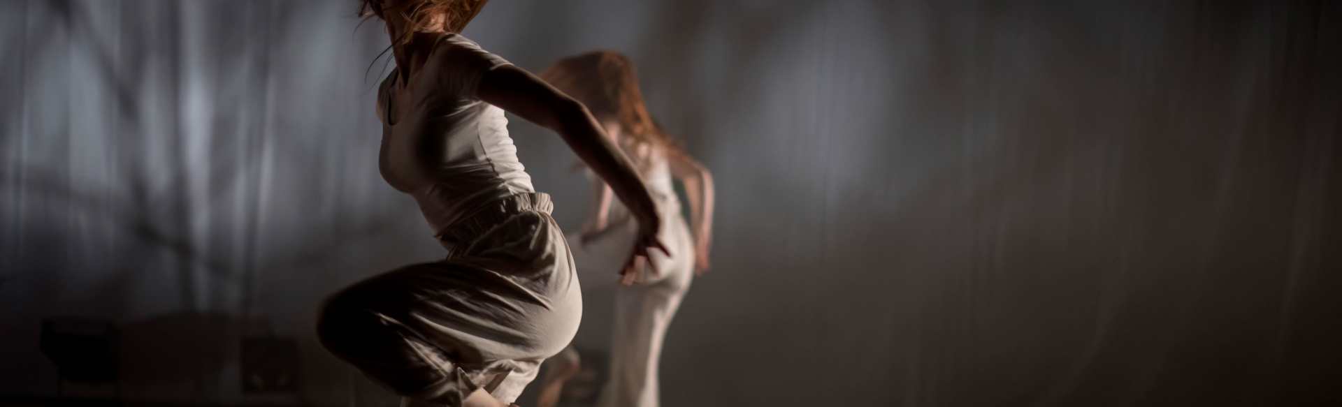 Academy of Performing Arts in Prague (AMU) PhD in Art of Dance and Nonverbal Theatre