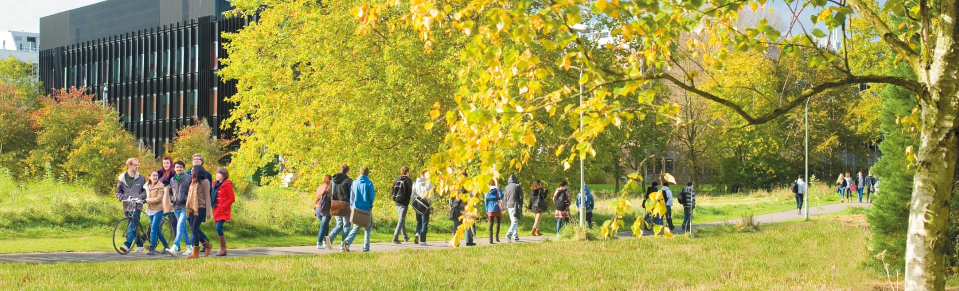 University of Reading Global Academy Πρόγραμμα Διεθνούς Ιδρύματος IFP