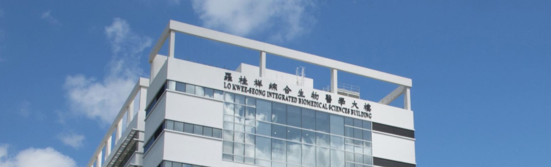 School of Biomedical Sciences, Faculty of Medicine, The Chinese University of Hong Kong BSc in Biomedical Sciences Programme