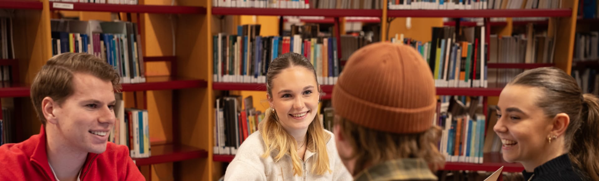 University of Inland Norway Μεταπτυχιακό στη Διοίκηση Επιχειρήσεων - Ειδίκευση στην Επιχειρηματική Αναλυτική
