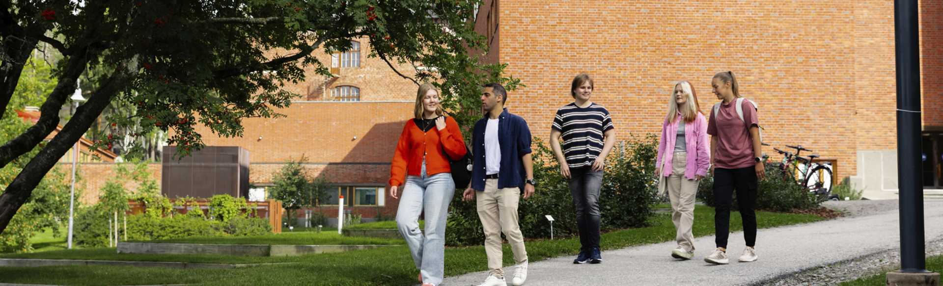 University of Jyväskylä Master of Science στις Διεθνείς Επιχειρήσεις και Επιχειρηματικότητα