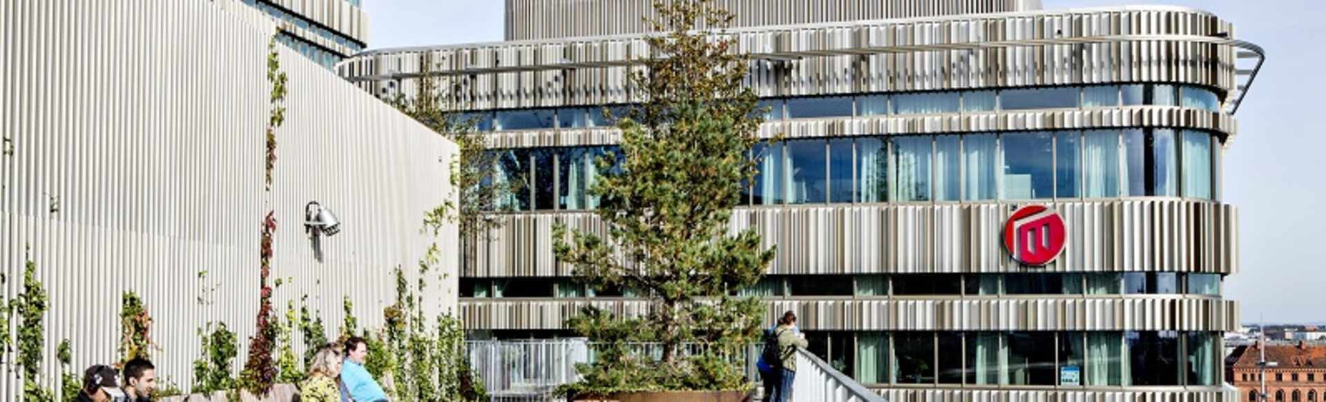Malmö University Bachelor in Peace and Conflict Studies