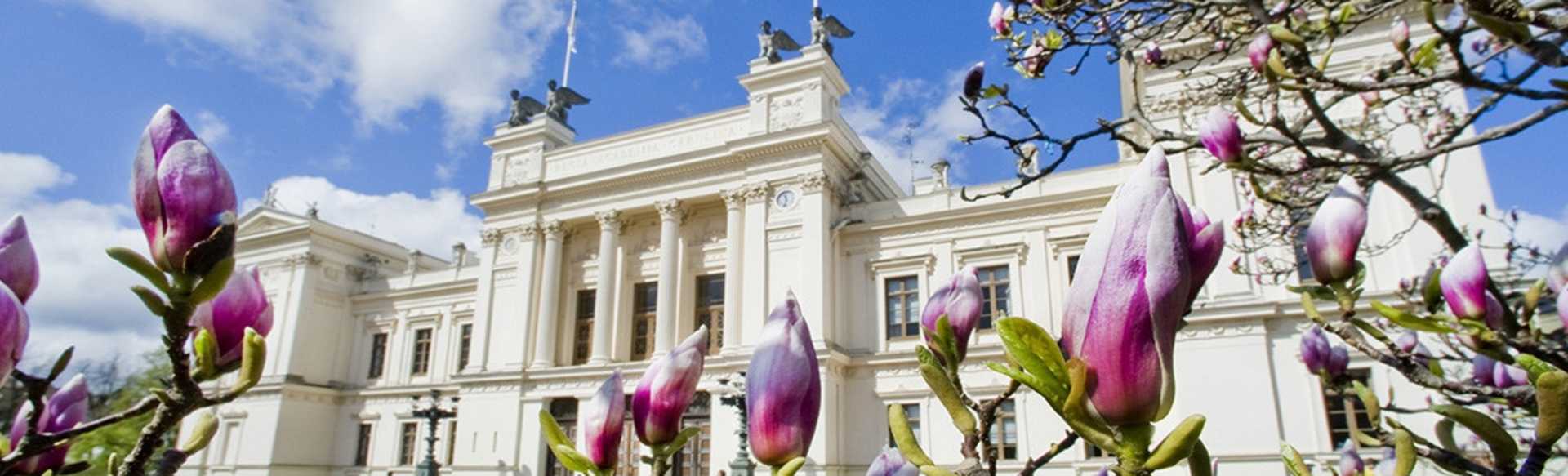 Lund University Msc en contabilidad y finanzas