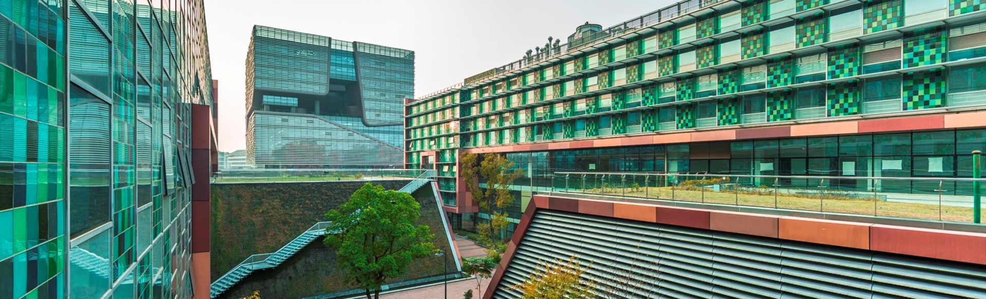 Xi'an Jiaotong-Liverpool University بكالوريوس ادارة اعمال