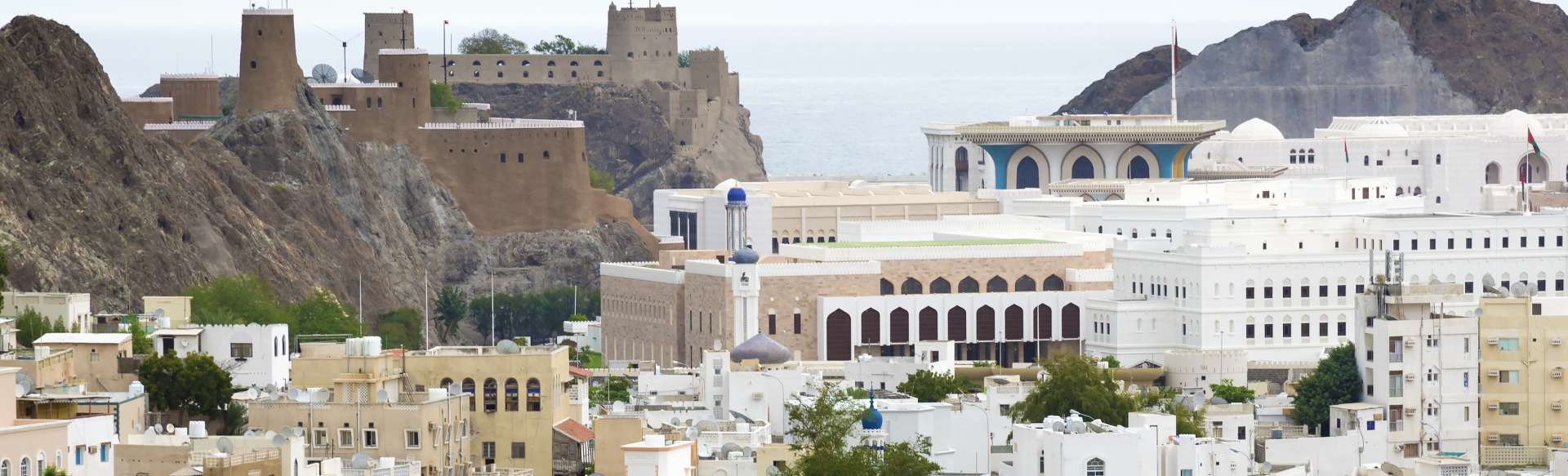 Oman Dental College BDS III курс