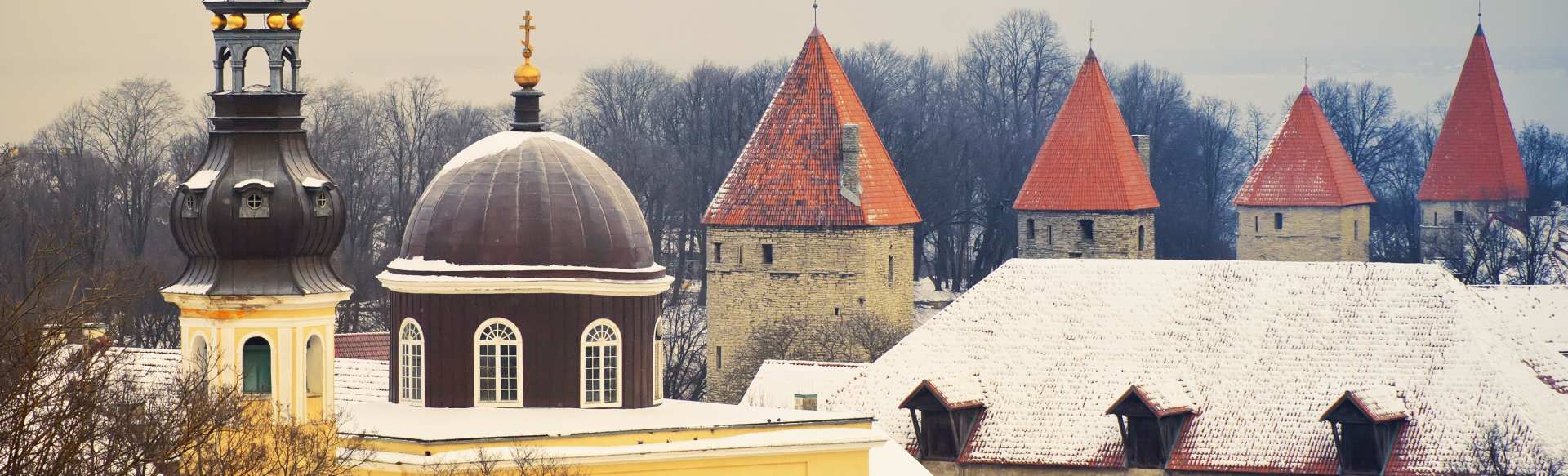 Tallinn University Bachelor of Arts in Politik und Governance