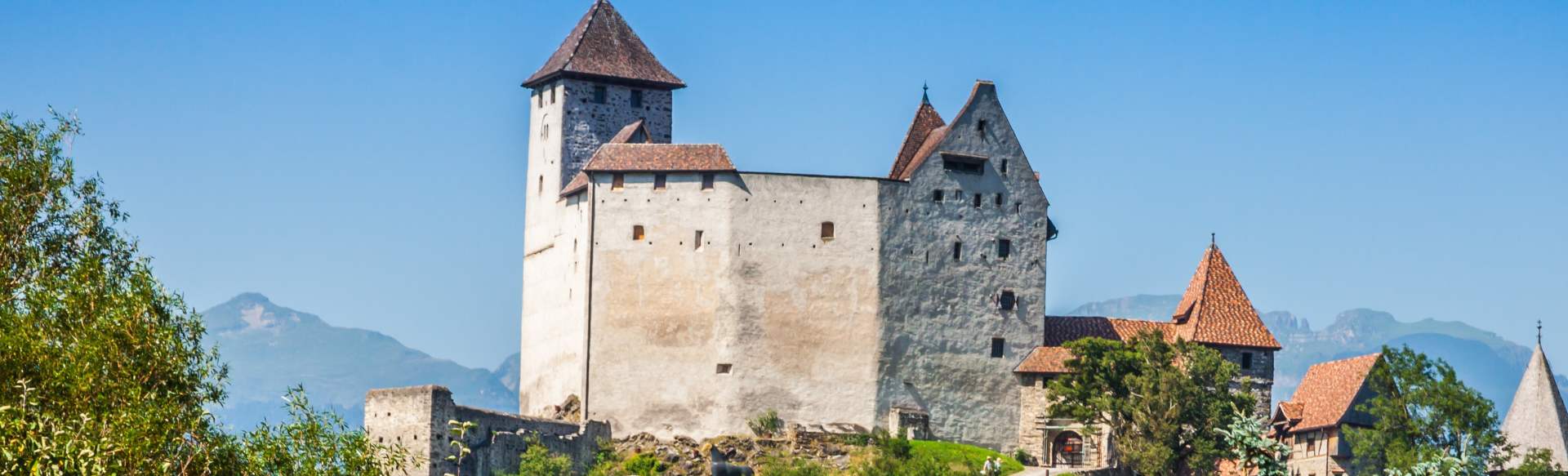 Private University in the Principality of Liechtenstein Promotion in Medizin (Dr. Scient. Med.)