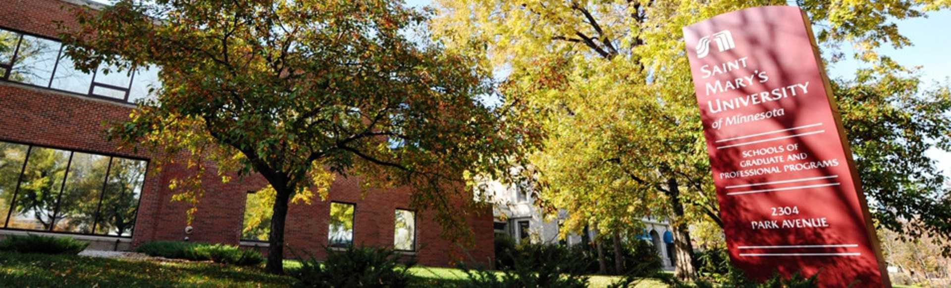 Saint Mary's University of Minnesota Online Master of Arts in Organizational Leadership