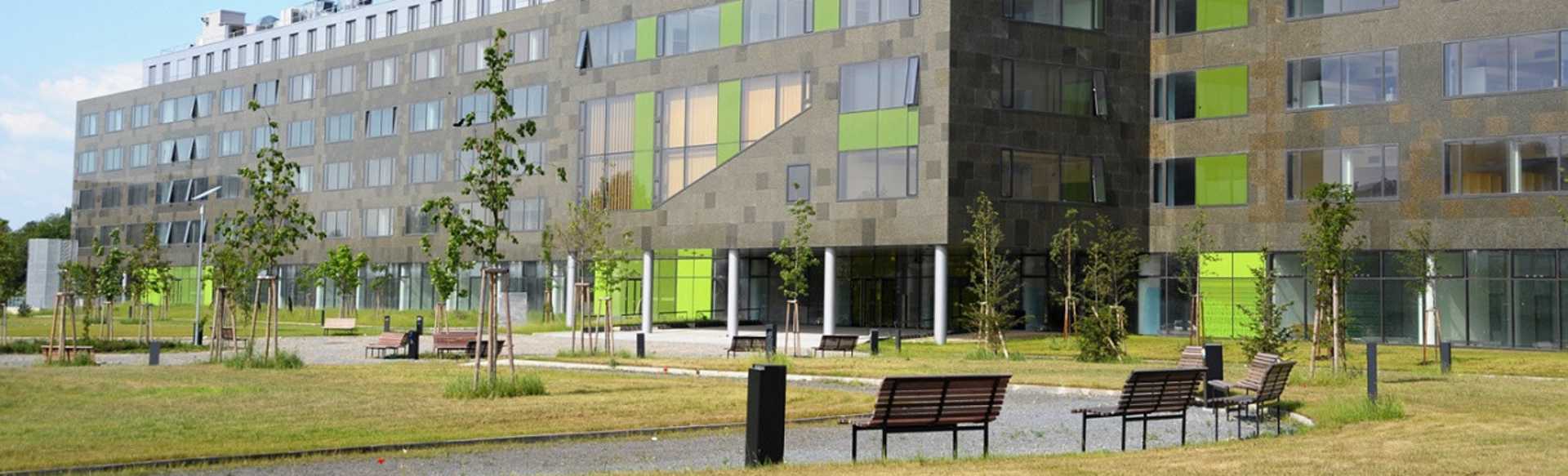Palacky University Mästare i internationell och europeisk lag