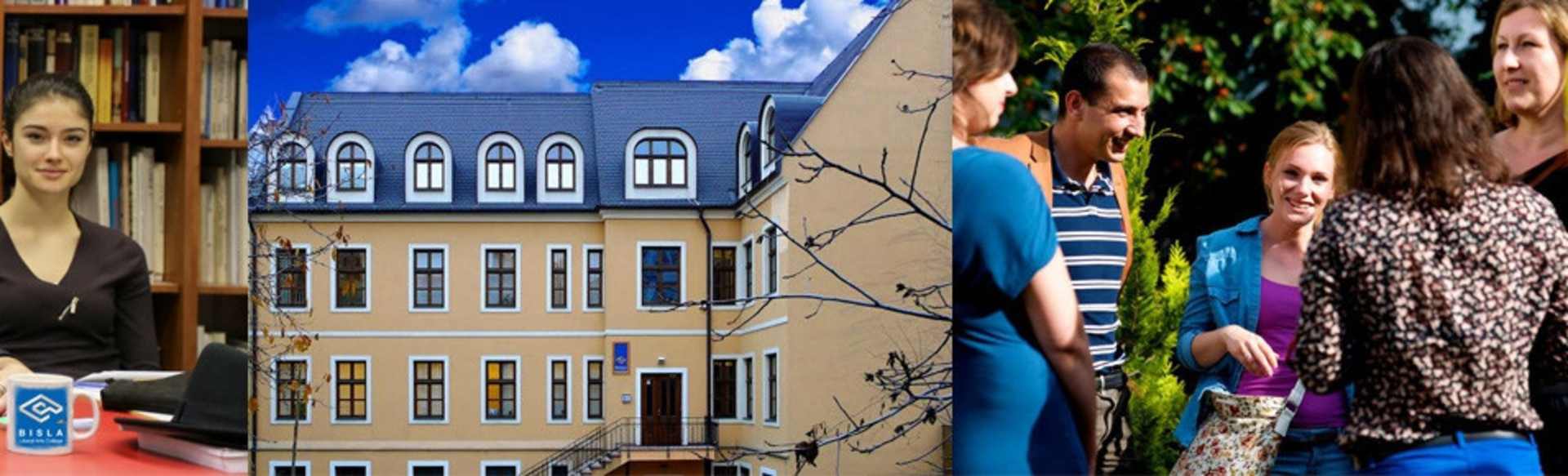 Bratislava International School Of Liberal Arts Programa de licenciatura en ciencias políticas