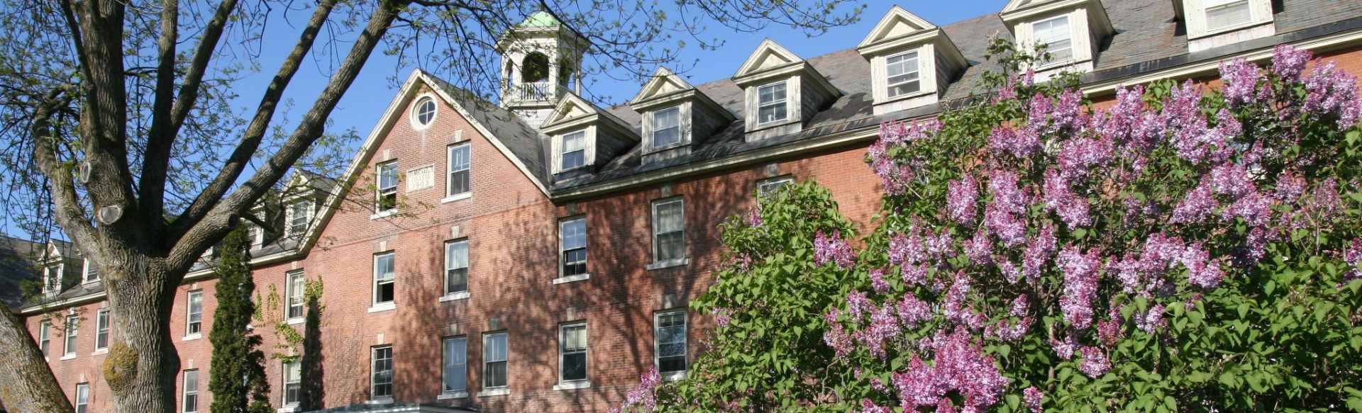 Saint Michael's College Master of Arts in Teaching English to Speakers of Other Languages (MA TESOL) / Applied Linguistics
