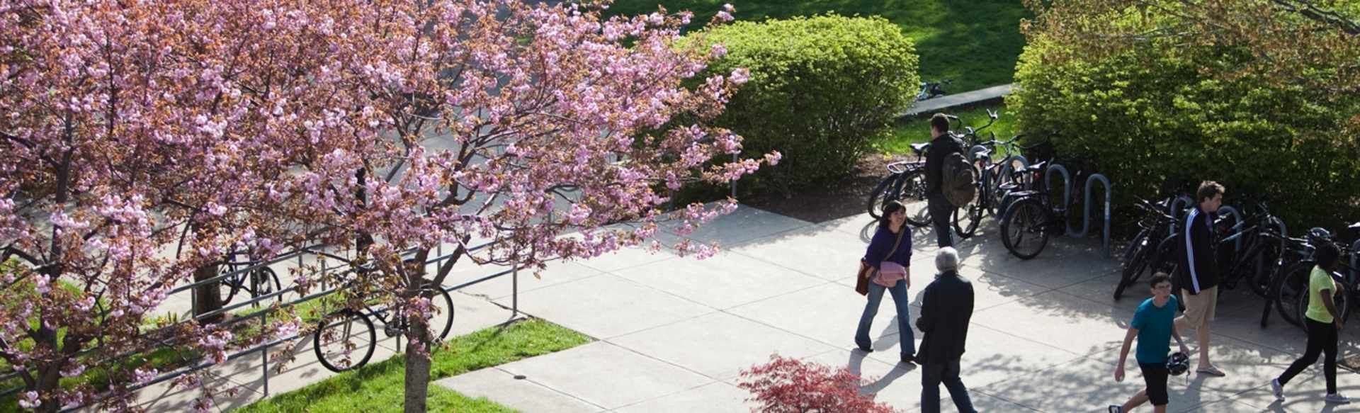 International Programs at Tufts University Program Keterampilan Akademik Bahasa Inggris