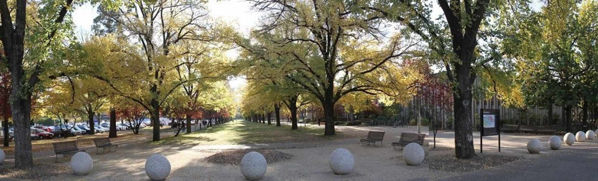 Australian National University Bachelor of Design (Honours)