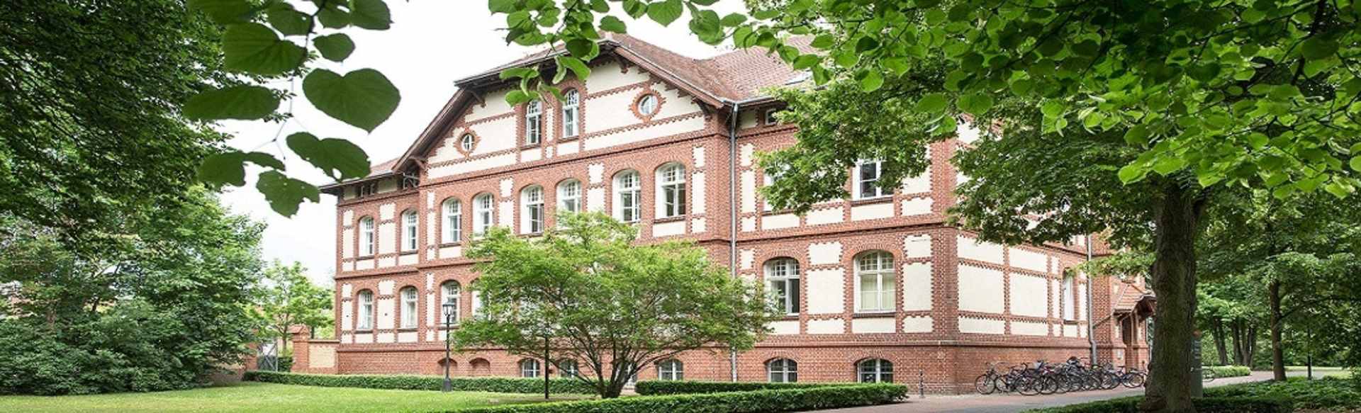 Medizinische Hochschule Brandenburg Степень бакалавра по психологии (бакалавриат)