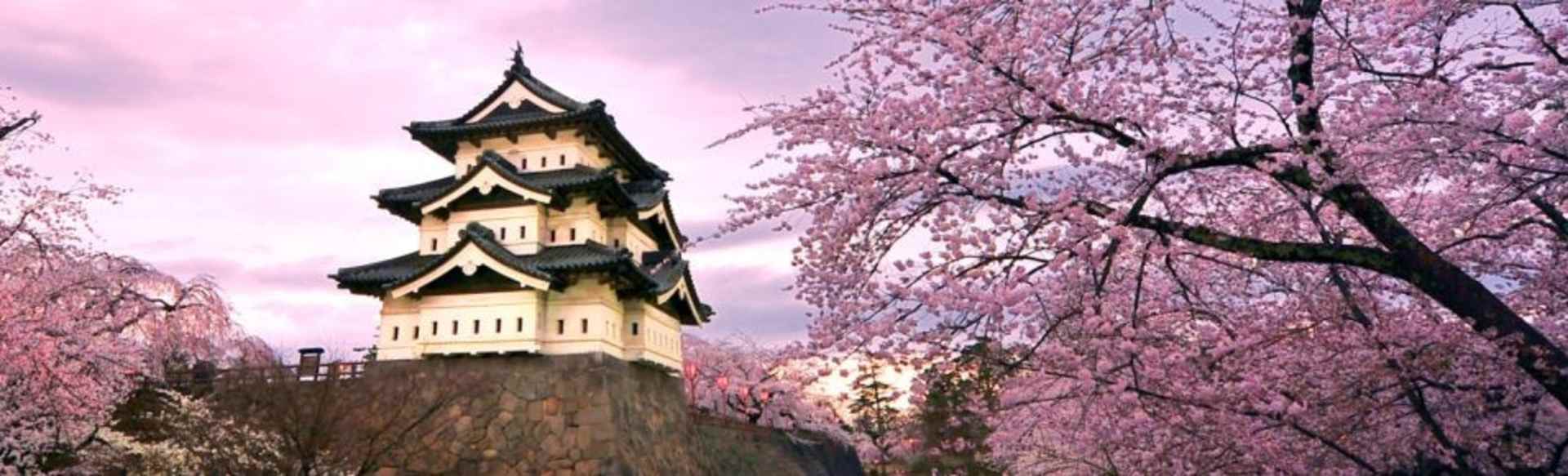 Hirosaki University Maestro de la ciencia y la tecnología - la ciencia y la tecnología avanzada de educación