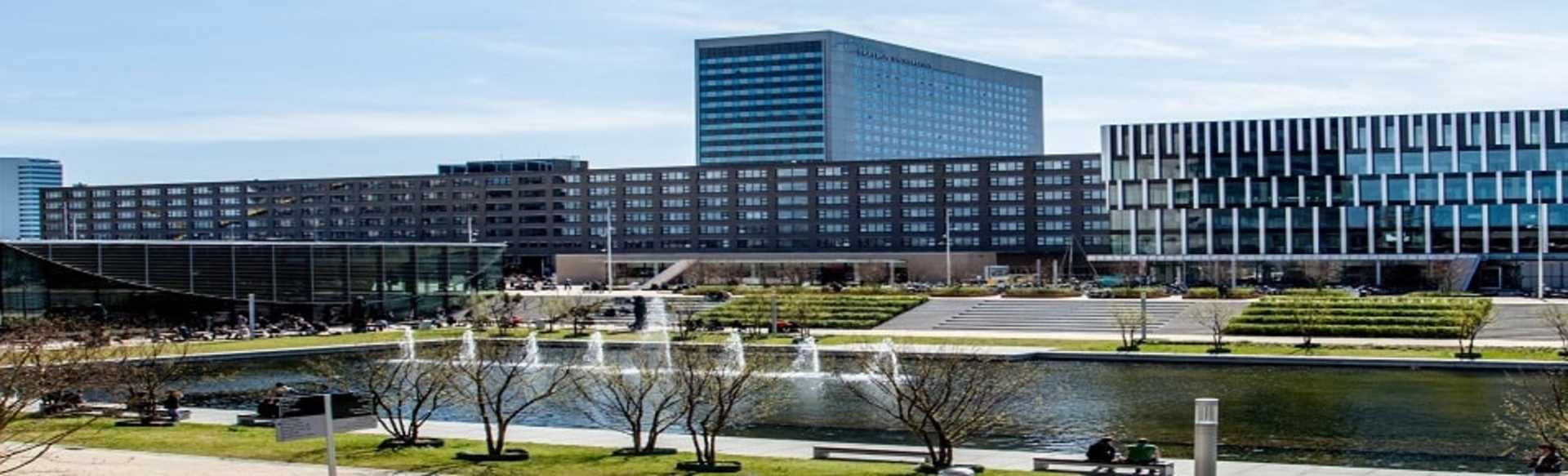 Erasmus School of History, Culture and Communication - Erasmus University Rotterdam Master i historia