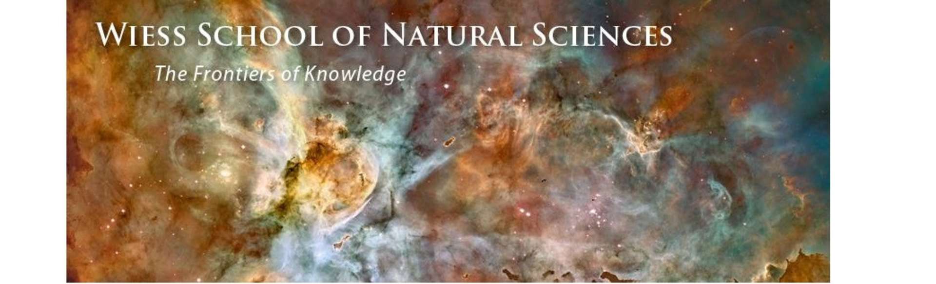 Rice University | Wiess School of Natural Sciences 응용 화학 과학 석사