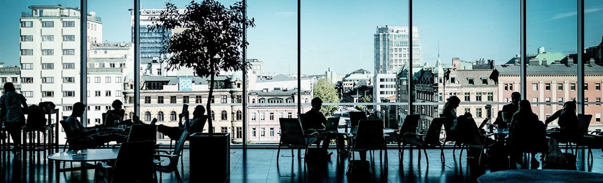 Malmö University Master in Biomedical Surface Science