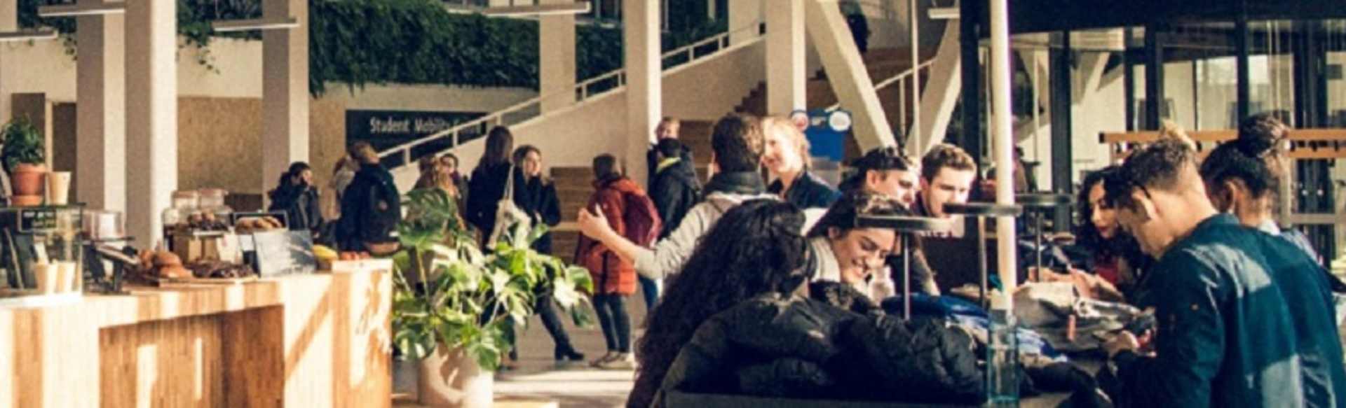 NHL Stenden University of Applied Sciences Bachelor in Tourism Management