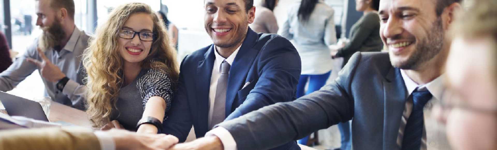 International Institute of Business, Business School (IIB) Executive MBA