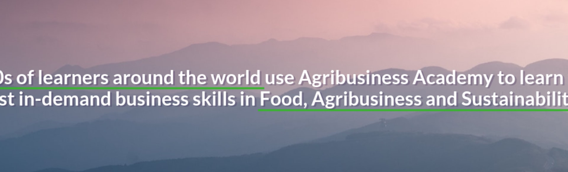 Agribusiness Academy Comida