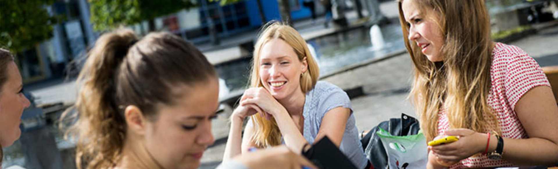 Örebro University Master's Programme in Public Planning for Sustainable Development